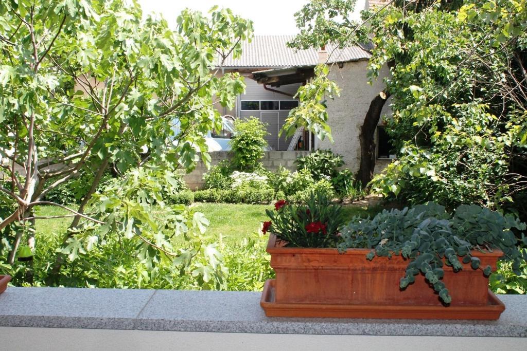 Apartment Weingut Lunzer *