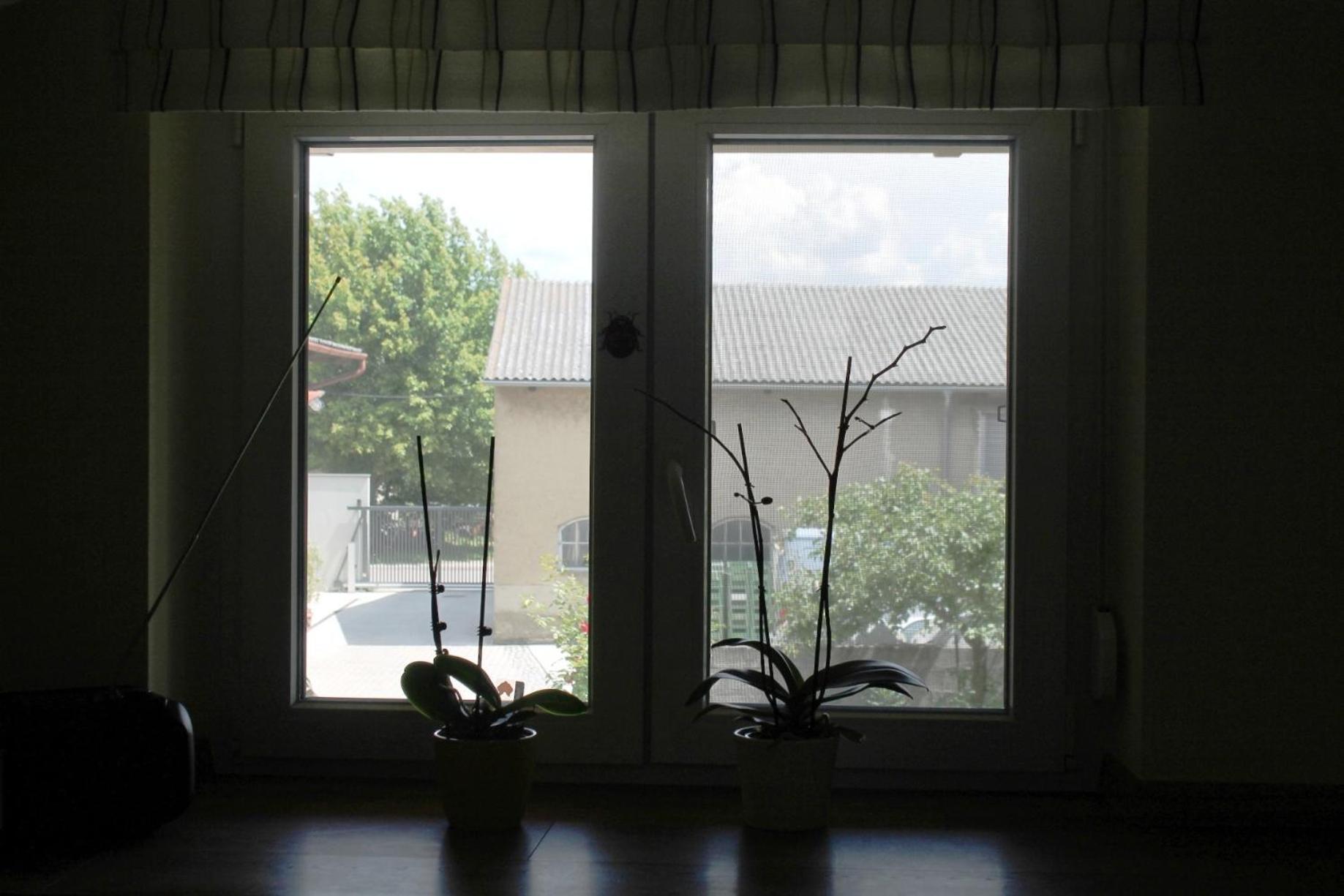Weingut Lunzer Apartment *