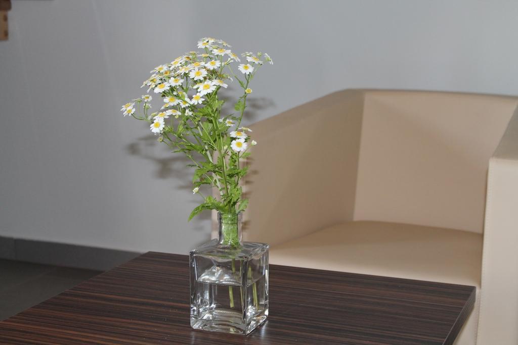 Apartment Weingut Lunzer *
