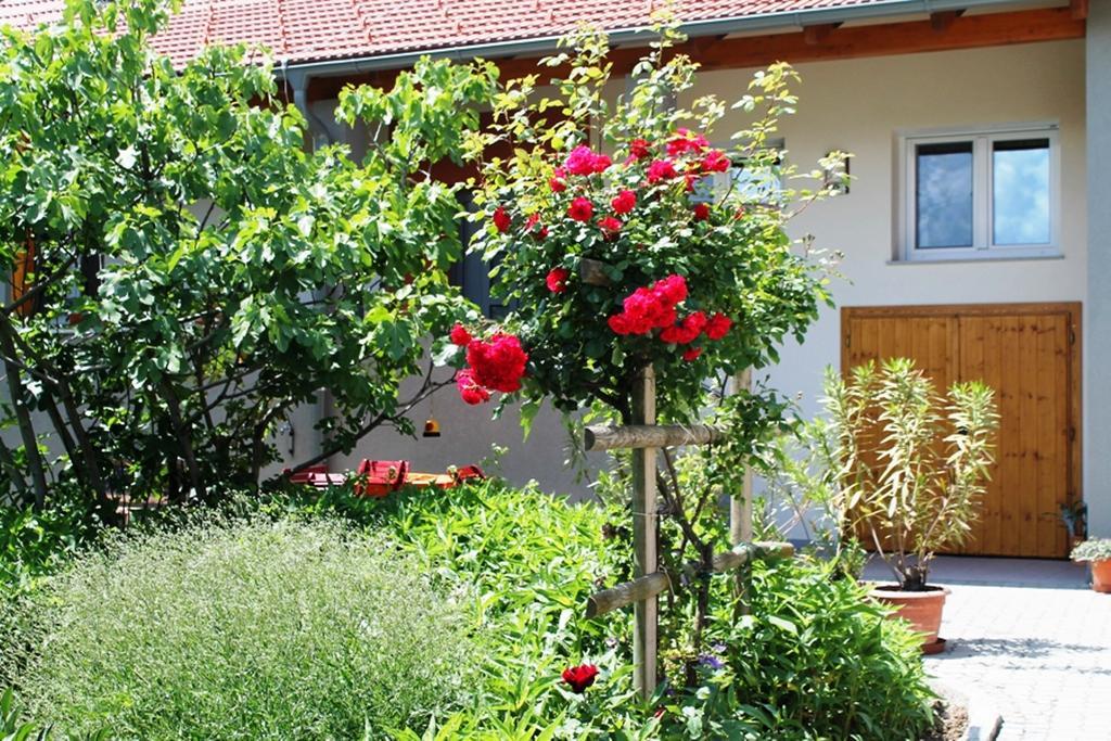 Apartment Weingut Lunzer