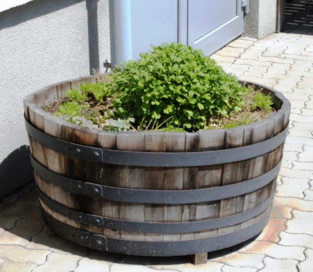 Weingut Lunzer Apartment