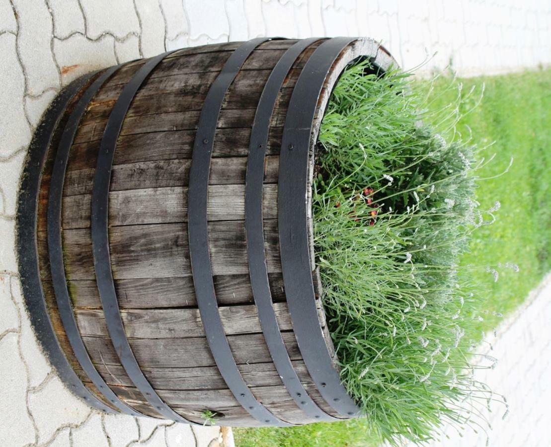 Apartment Weingut Lunzer